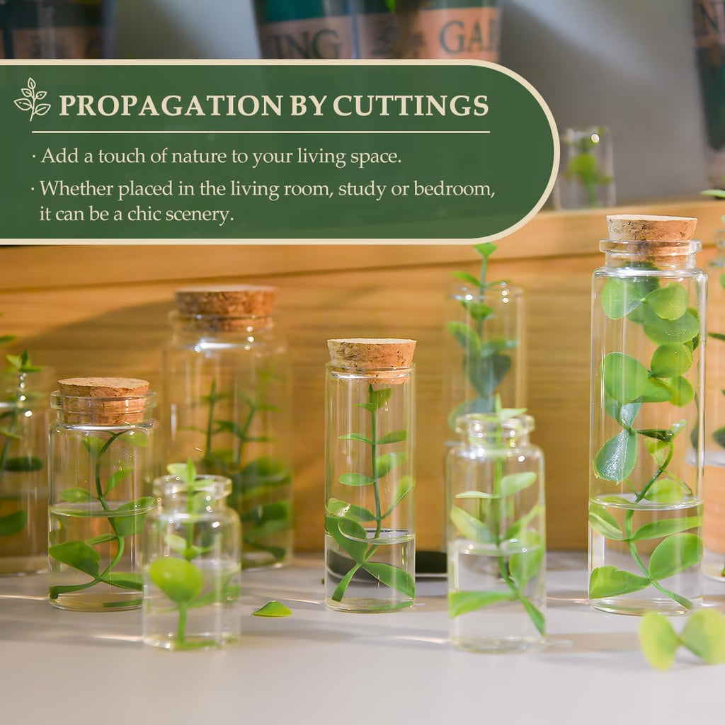 JIUYUE 4 pcs 150 ml Small Glass Cork Bottles,Storage Bottles for Liquids(5.07 oz-1.85x4.72 inch)