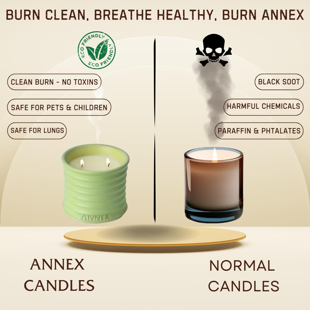 Scented Luxury Candles Outdoor Mosquito Bug Repellent Ceramic Jars, Soy Wax | The Green Life, Large Natural Candle - Green Melon & Peppermint | Non Toxic, 2 Wicks, Reusable Jar