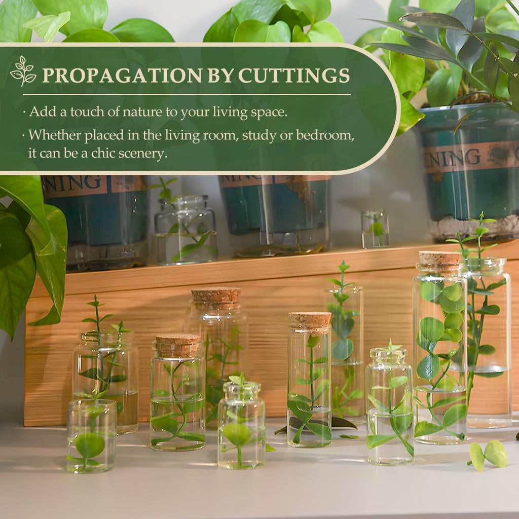 JIUYUE 4 pcs 100 ml Small Glass Bottles,Cork Decoration(3.38 oz-1.85x3.54 inch)