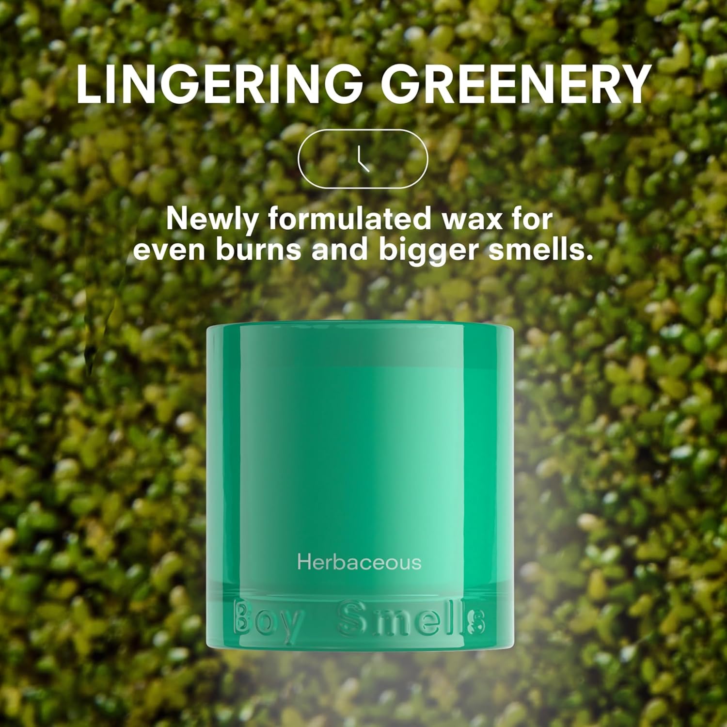 Boy Smells Grass Scented Candle - 8.5 oz - Home Candle with Bergamot, Fresh Sage, and Wild Grass Notes - Up to 50-Hour Burn - Cotton Wick